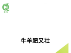 牛羊催肥先解酸！用牛羊肥又壮，远离酸中毒，提前出栏多赚钱