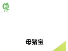 母猪保健新选择：从源头调理，让“母猪宝”守护猪场核心生产力